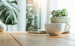 Cup and plant on table with window in background for coaching session.